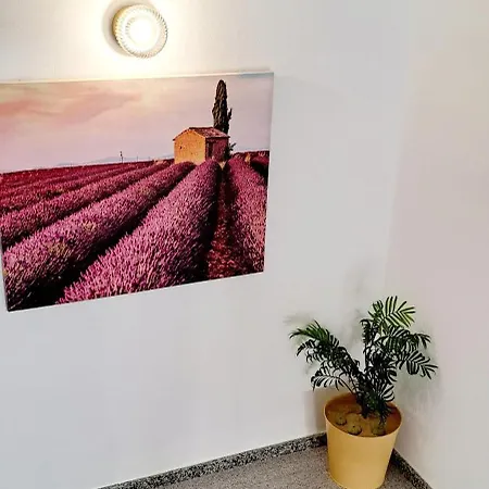 Apartmán Punta Panoramic - Punta Mujeres